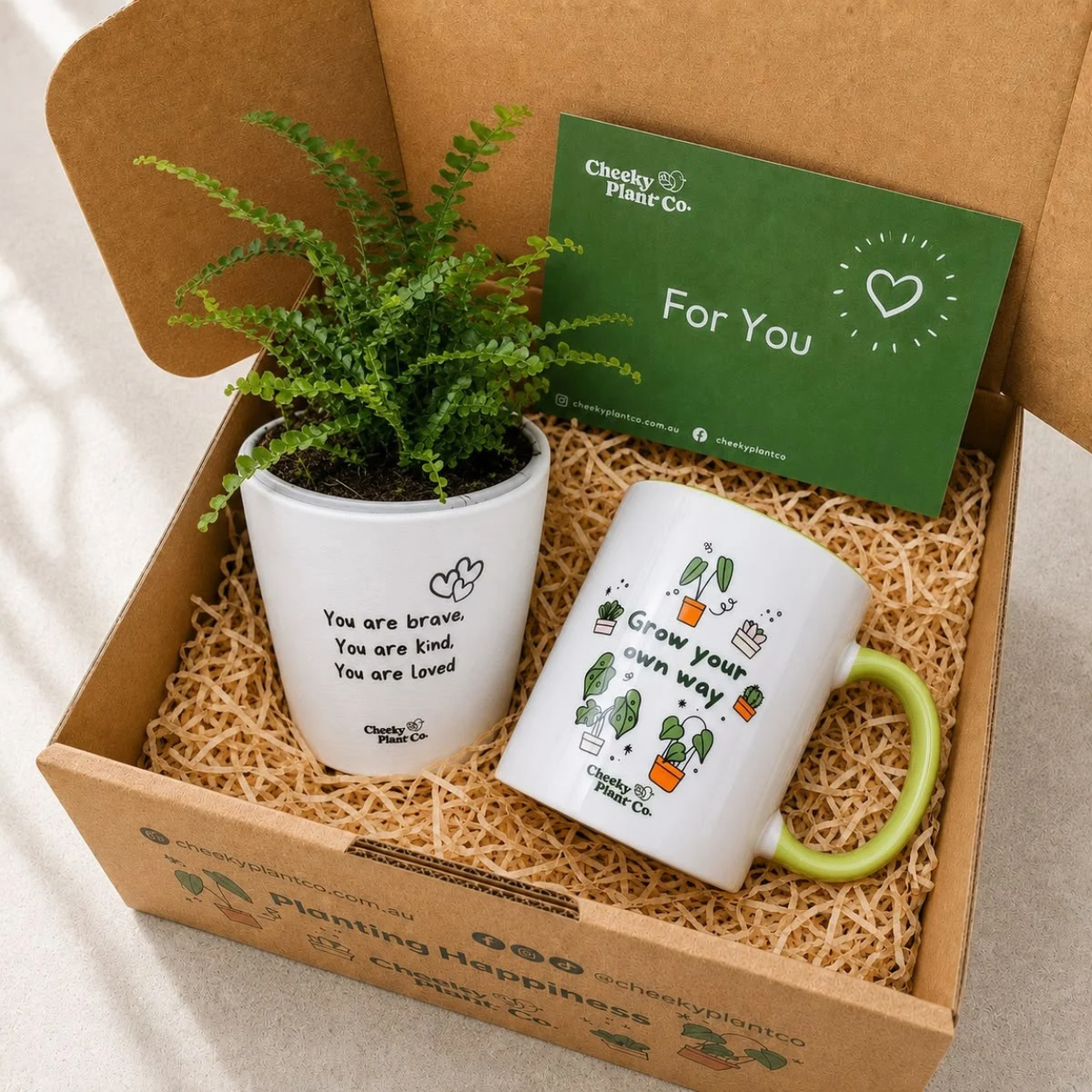 Mini Plant Return Gift
